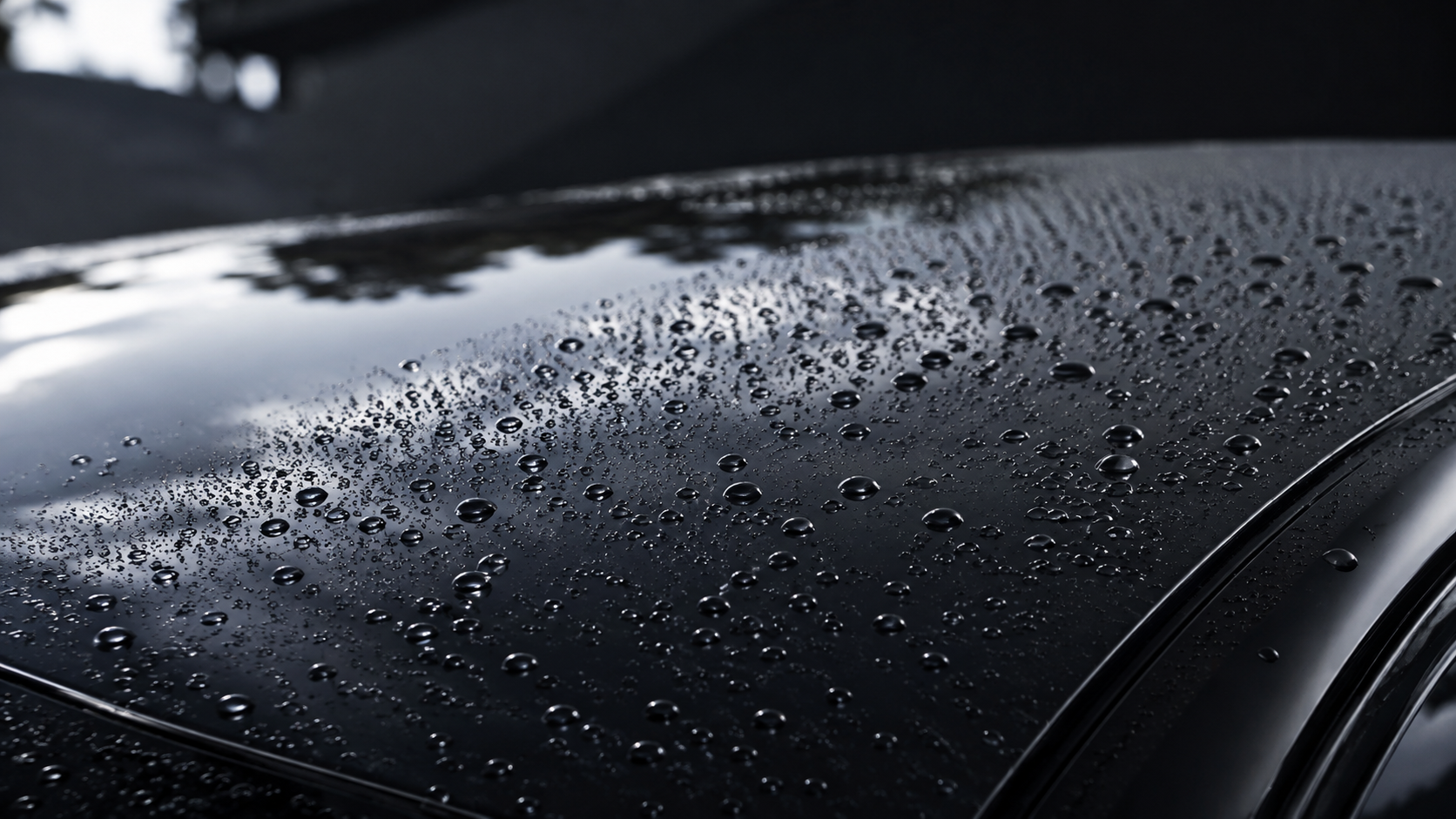 撥水する黒い車のボディ